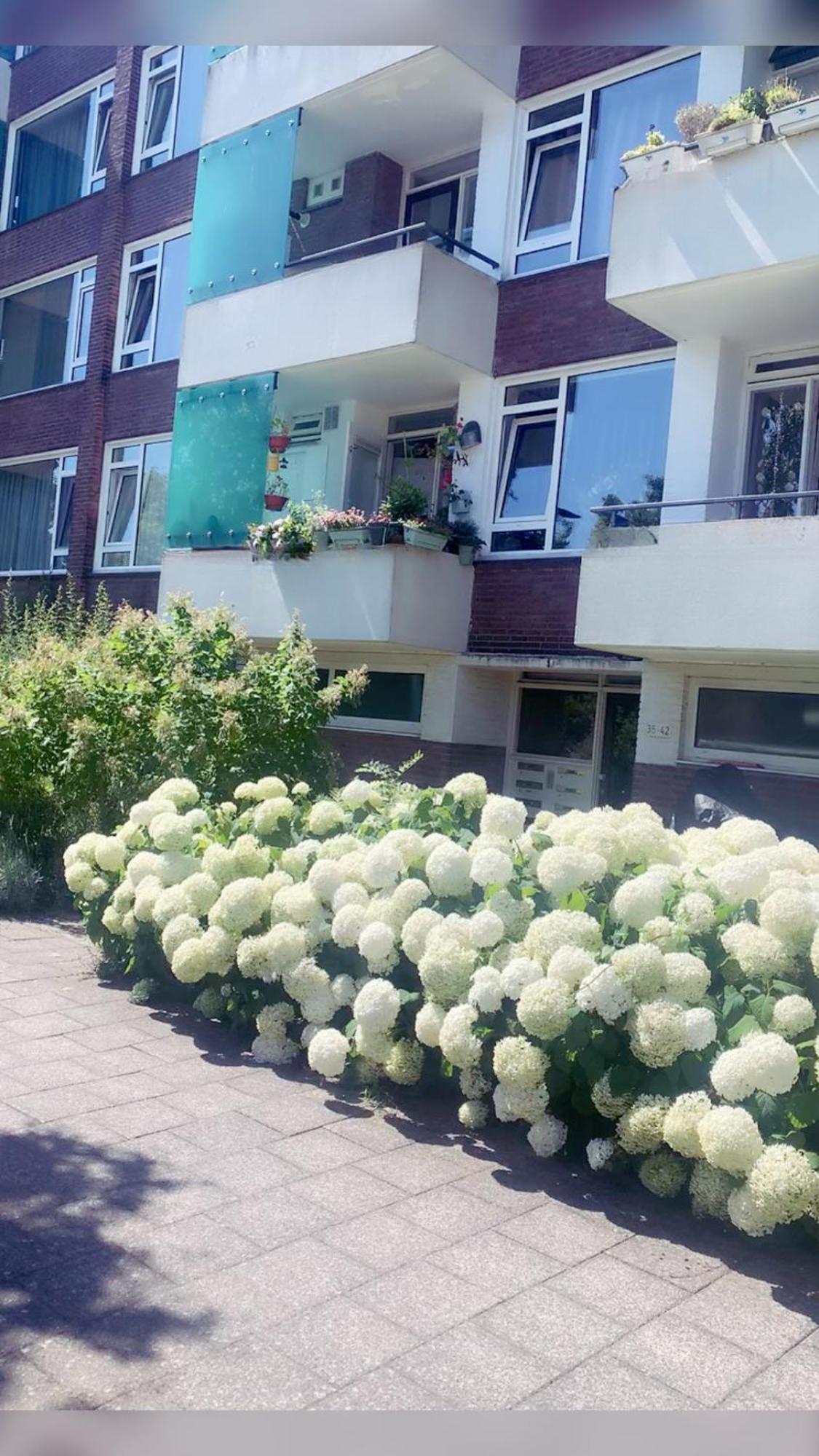 Keycity Apt Near Amsterdam & The Hague Leiden Eksteriør billede